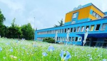 Letní posezení v zeleni - FOTOSOUTĚŽ